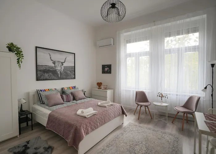 A Lovley Newly Decorated Fully Equipped Apartment Walking Distance To The City Park Where You Will Find The World Famous Szechenyi Thermal Bath Spa, Museums , And The Capital Circus , Ac, Smart Tv, High Speed Internet