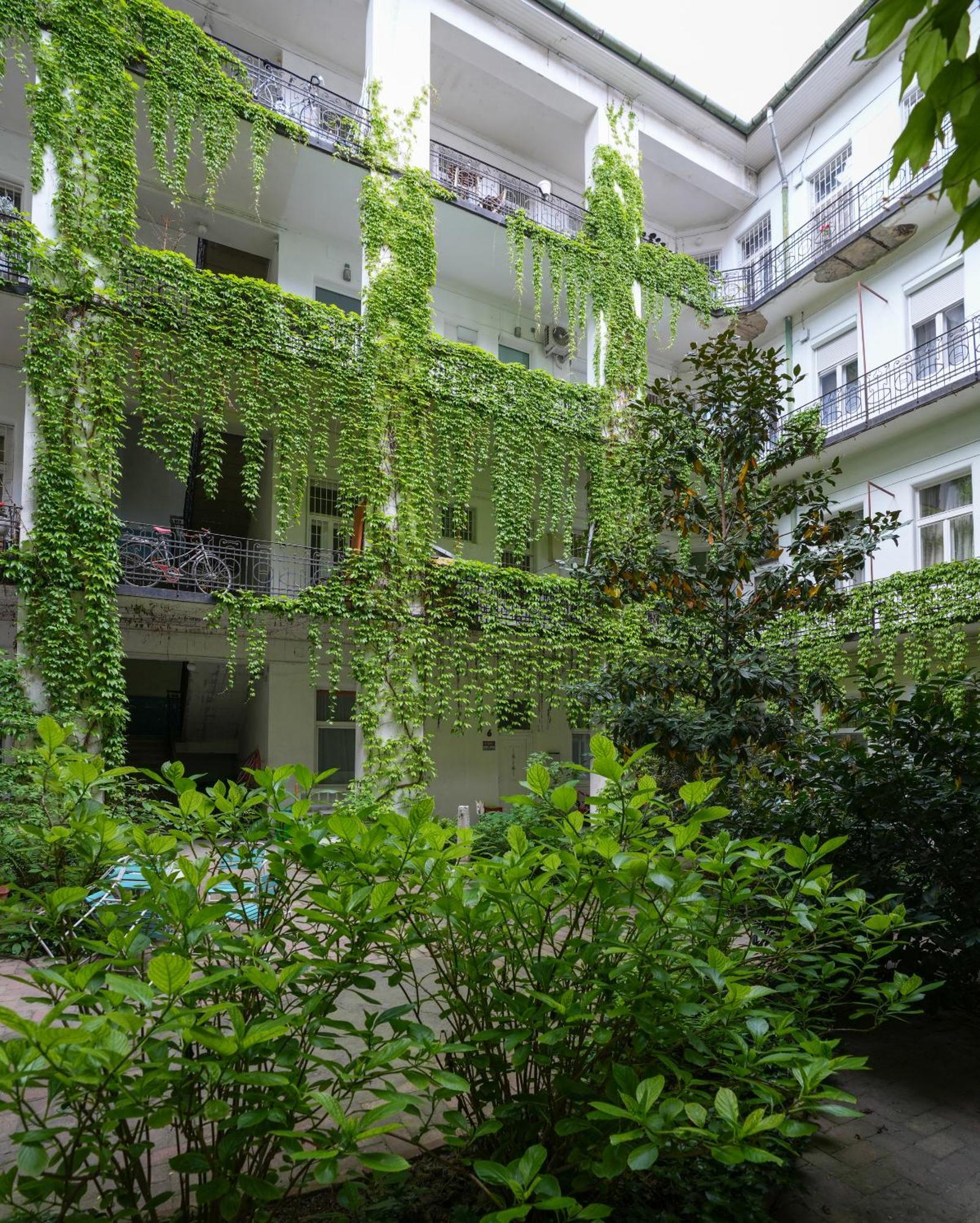 Apartamento A Lovley Newly Decorated Fully Equipped Walking Distance To The Park Where Will Find The World Famous Szechenyi Thermal Bath Spa, Museums , And The Capital Circus , Ac, Smart Tv, High Speed Internet Budapeste