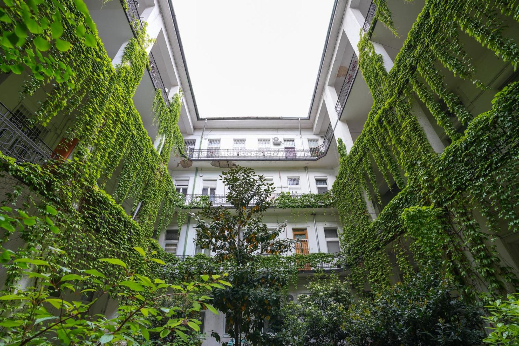 A Lovley Newly Decorated Fully Equipped Walking Distance To The Park Where Will Find The World Famous Szechenyi Thermal Bath Spa, Museums , And The Capital Circus , Ac, Smart Tv, High Speed Internet Budapest