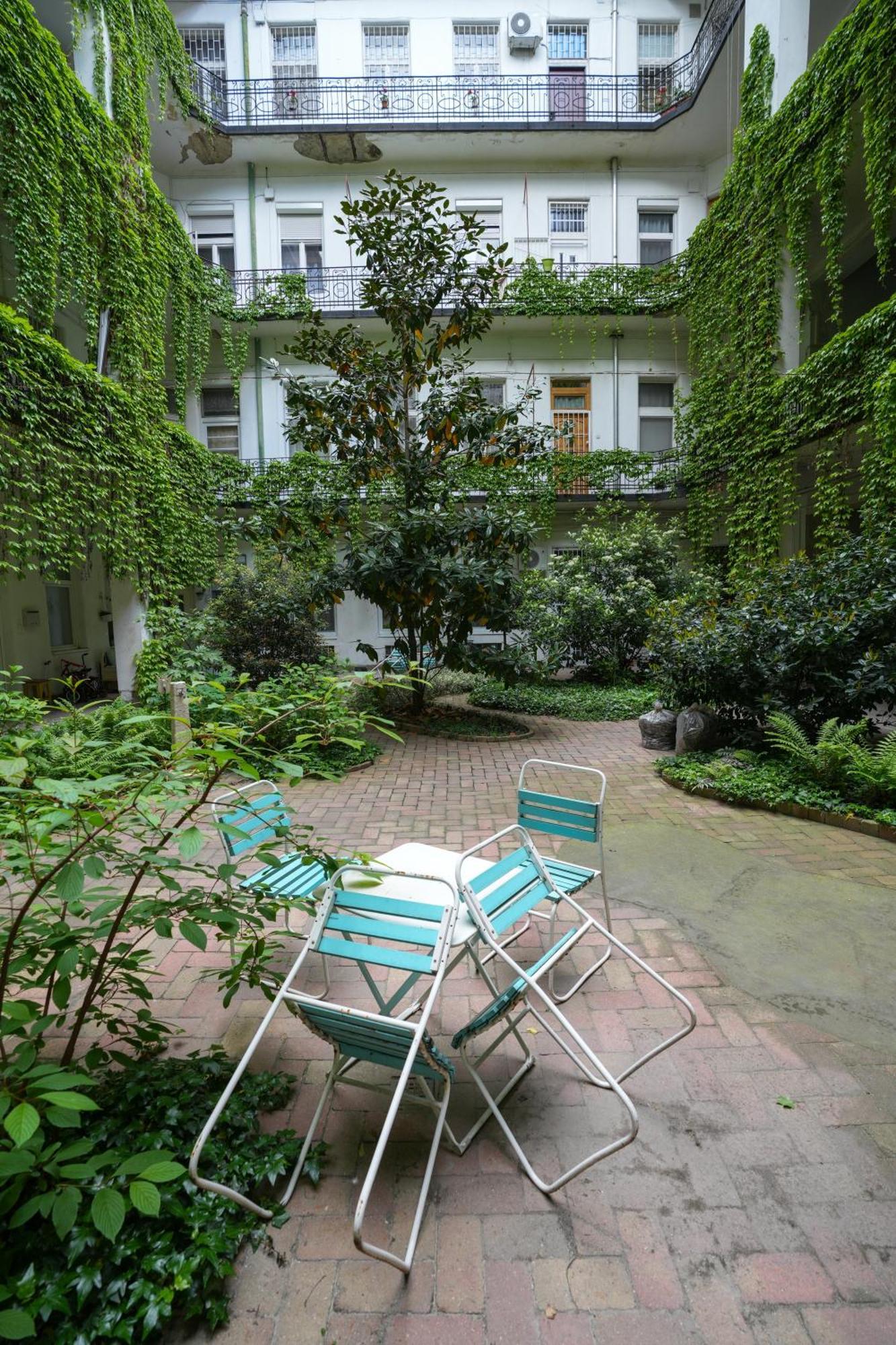 A Lovley Newly Decorated Fully Equipped Walking Distance To The Park Where Will Find The World Famous Szechenyi Thermal Bath Spa, Museums , And The Capital Circus , Ac, Smart Tv, High Speed Internet * Budapeste