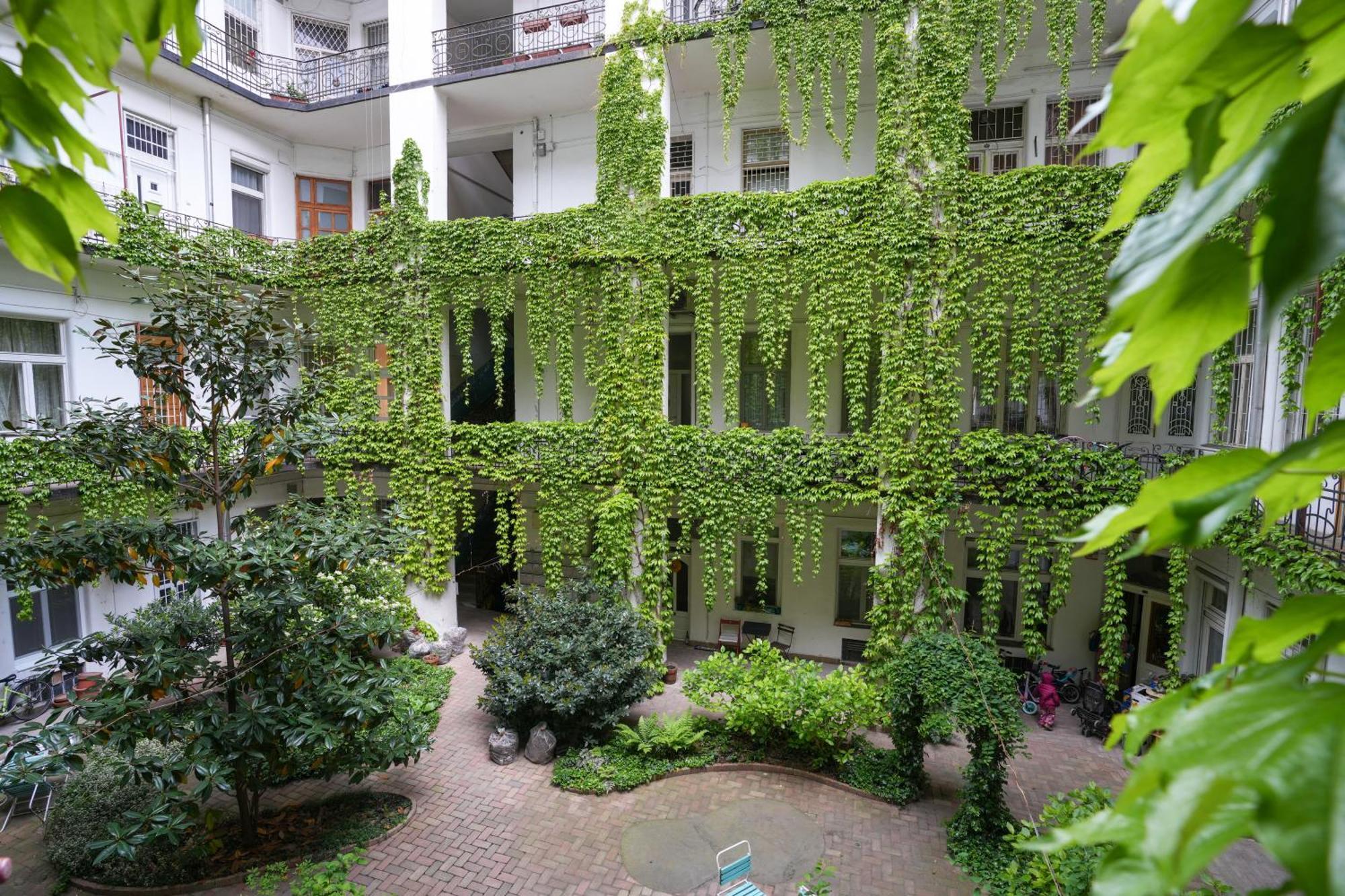 Apartamento A Lovley Newly Decorated Fully Equipped Walking Distance To The Park Where Will Find The World Famous Szechenyi Thermal Bath Spa, Museums , And The Capital Circus , Ac, Smart Tv, High Speed Internet *