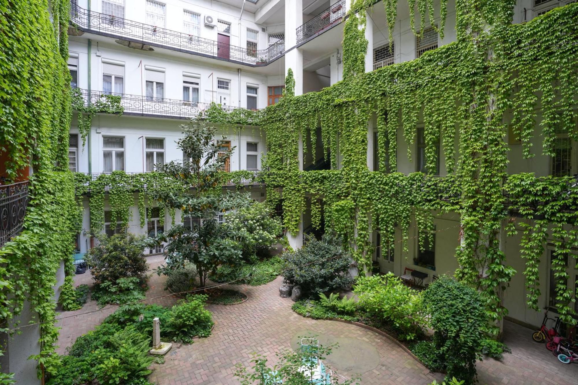 Apartamento A Lovley Newly Decorated Fully Equipped Walking Distance To The Park Where Will Find The World Famous Szechenyi Thermal Bath Spa, Museums , And The Capital Circus , Ac, Smart Tv, High Speed Internet Budapeste