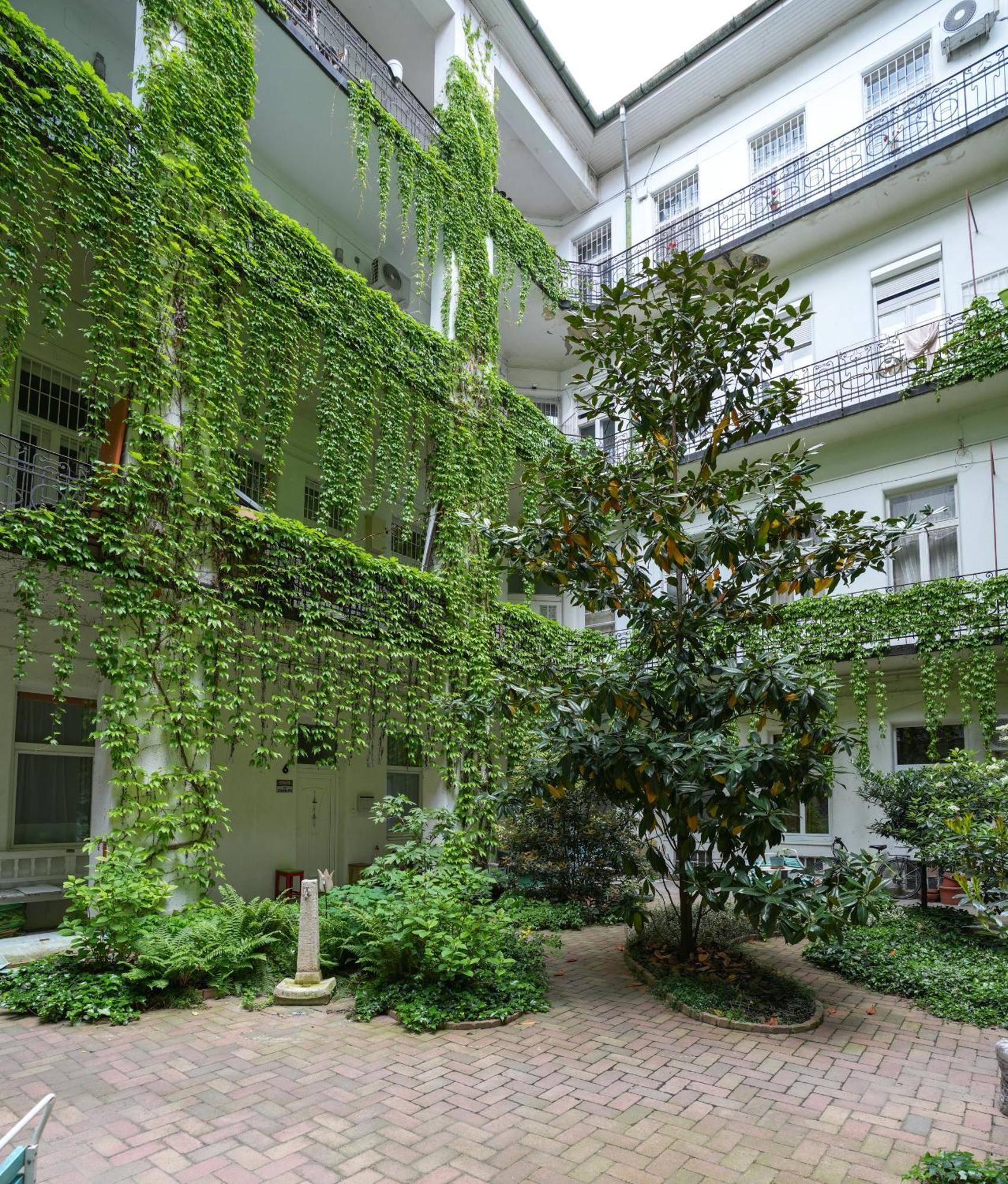 A Lovley Newly Decorated Fully Equipped Walking Distance To The Park Where Will Find The World Famous Szechenyi Thermal Bath Spa, Museums , And The Capital Circus , Ac, Smart Tv, High Speed Internet