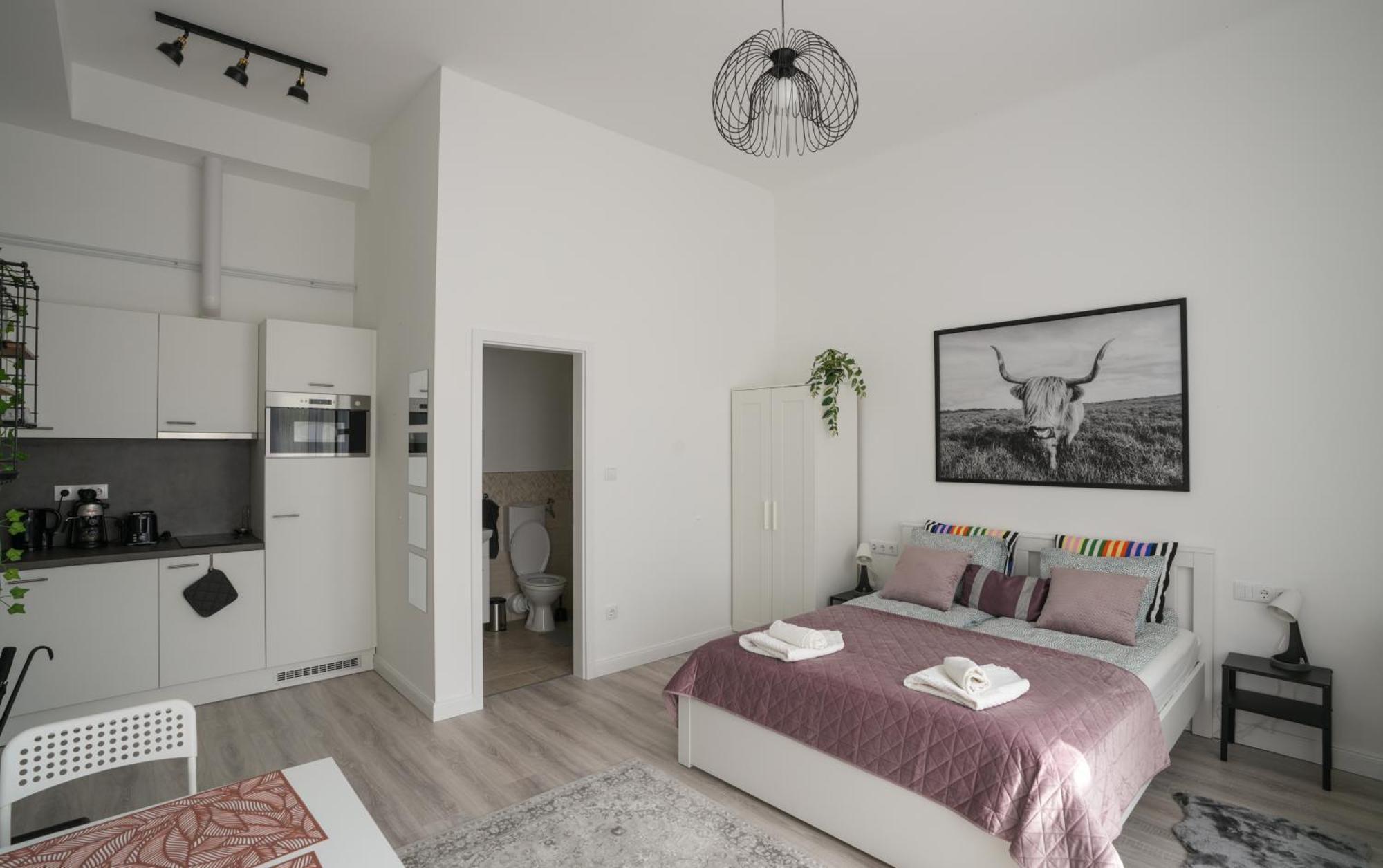 A Lovley Newly Decorated Fully Equipped Walking Distance To The Park Where Will Find The World Famous Szechenyi Thermal Bath Spa, Museums , And The Capital Circus , Ac, Smart Tv, High Speed Internet Apartamento