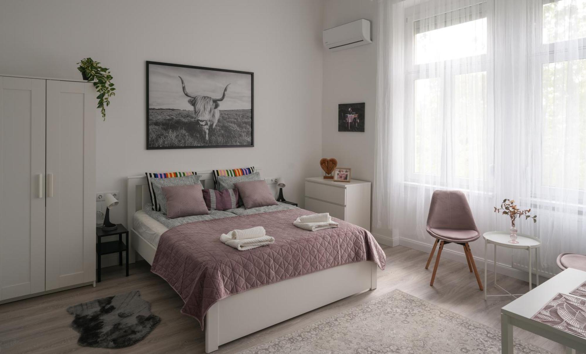 Appartement A Lovley Newly Decorated Fully Equipped Walking Distance To The Park Where Will Find The World Famous Szechenyi Thermal Bath Spa, Museums , And The Capital Circus , Ac, Smart Tv, High Speed Internet