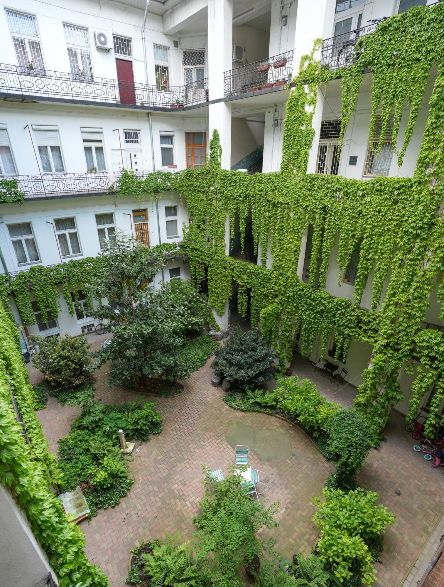 A Lovley Newly Decorated Fully Equipped Walking Distance To The Park Where Will Find The World Famous Szechenyi Thermal Bath Spa, Museums , And The Capital Circus , Ac, Smart Tv, High Speed Internet *